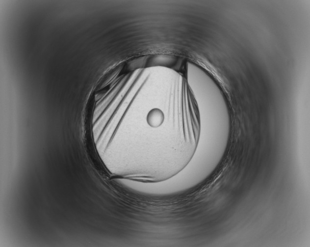 X0000096130203200802151321