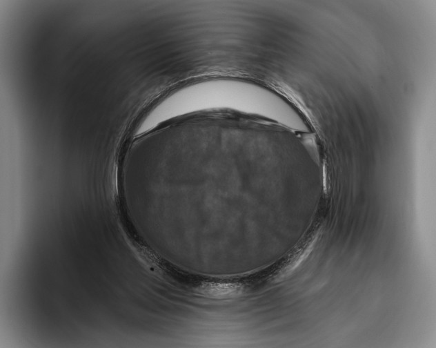 X0000096130205200802151320