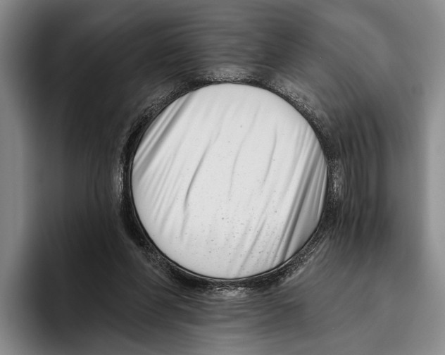 X0000096130206200802151320