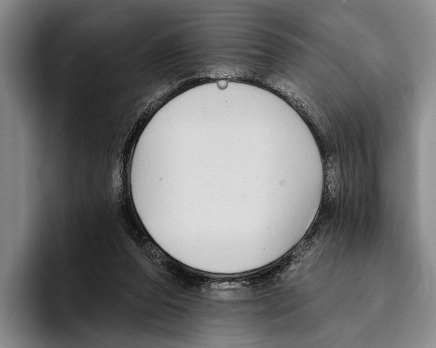 X0000096130208200802151320