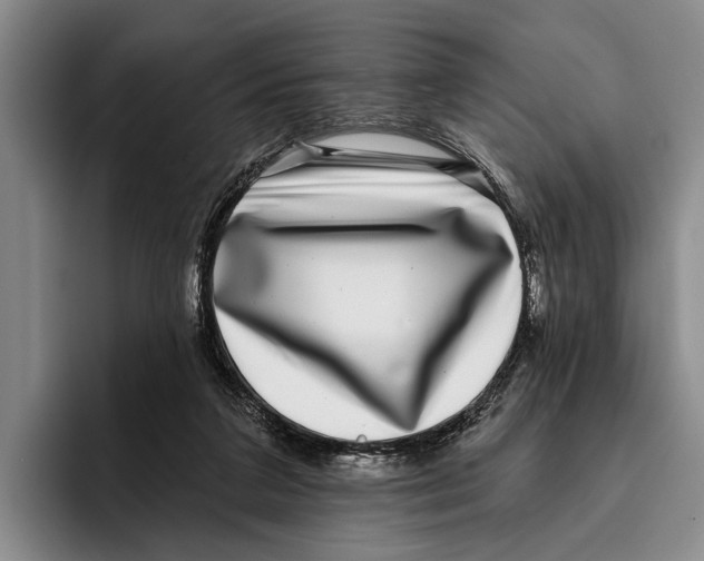 X0000096130211200802151320