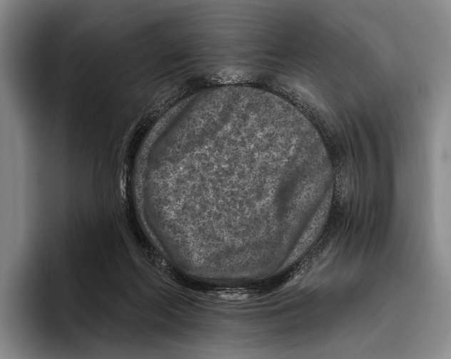 X0000096130214200802151320