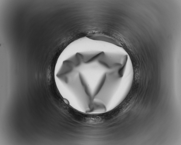 X0000096130215200802151320