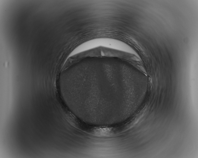 X0000096130217200802151320