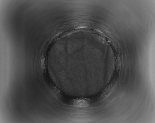 X0000096130224200802151320