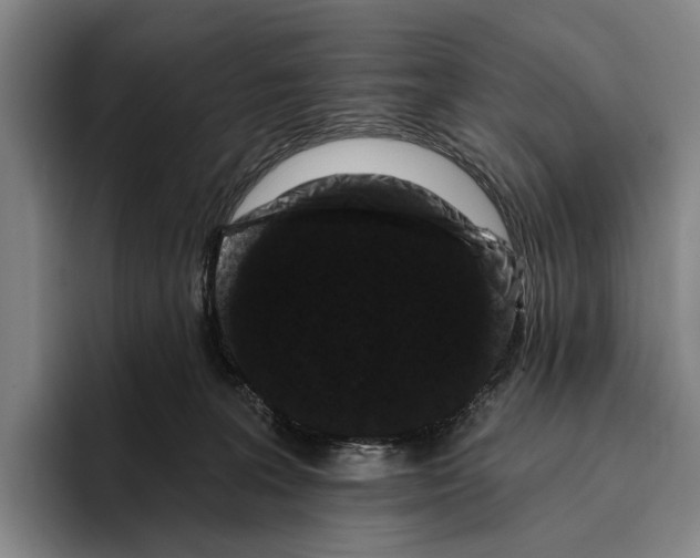 X0000096130227200802151320