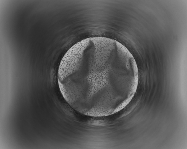 X0000096130228200802151320