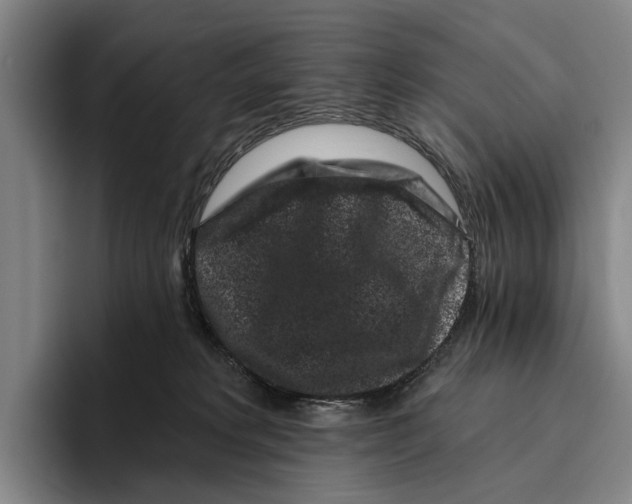 X0000096130229200802151320