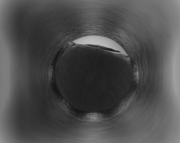 X0000096130231200802151320