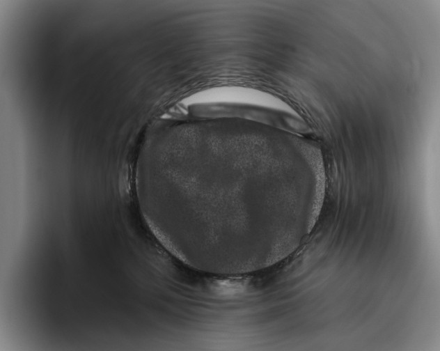 X0000096130232200802151320