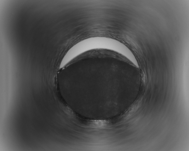 X0000096130233200802151320