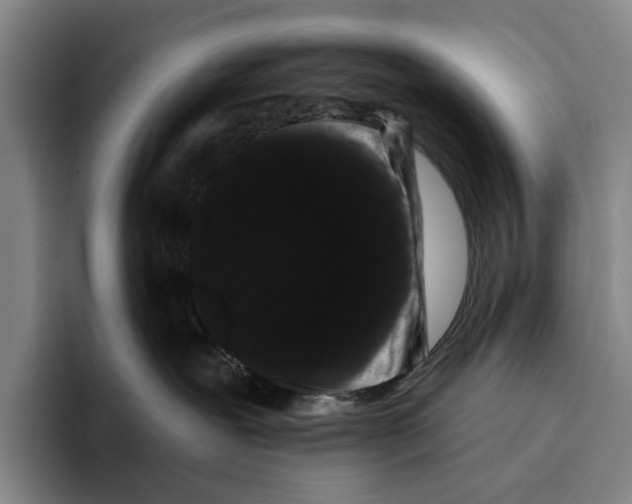 X0000096130239200802151320