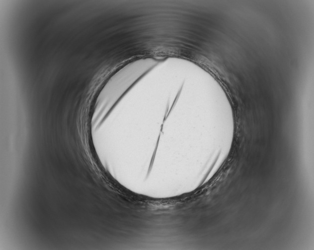 X0000096130241200802151319