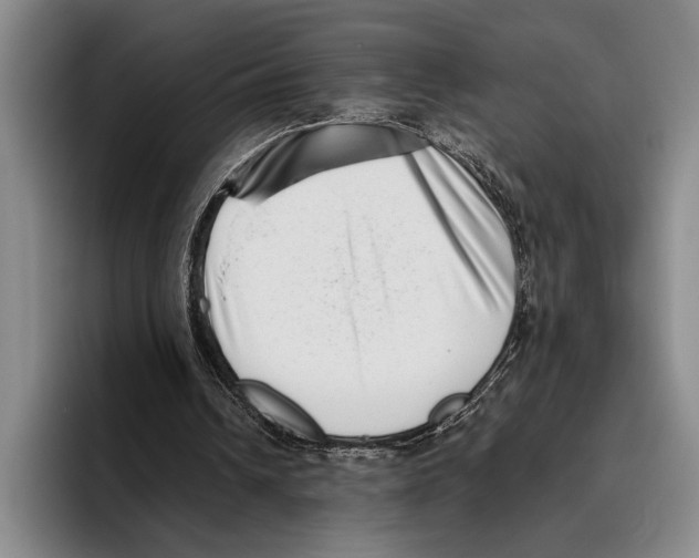 X0000096130242200802151319