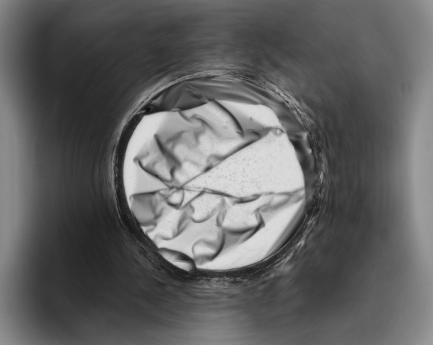 X0000096130244200802151319