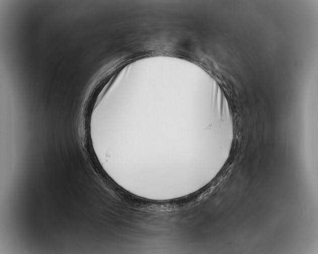 X0000096130245200802151319