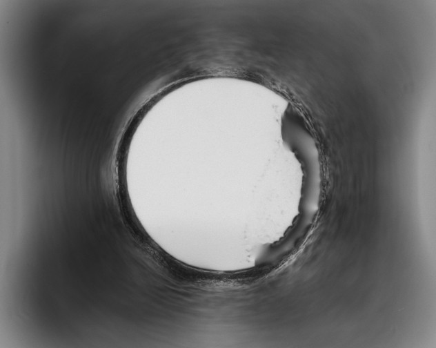 X0000096130246200802151319