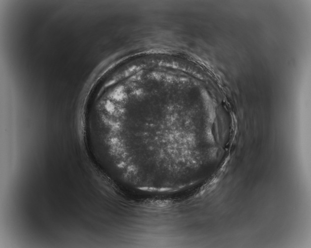 X0000096130247200802151319