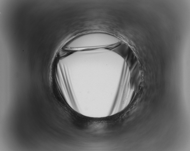 X0000096130248200802151319