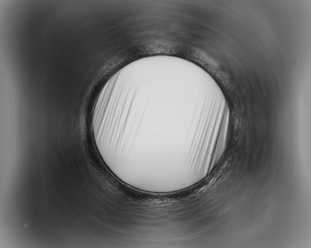 X0000096130250200802151320