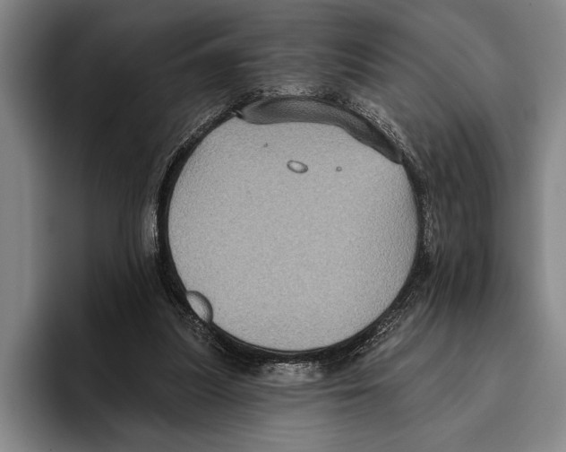 X0000096130251200802151320