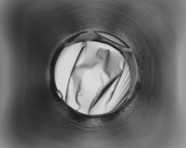 X0000096130252200802151320