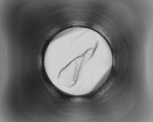 X0000096130253200802151320