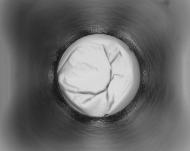 X0000096130259200802151320