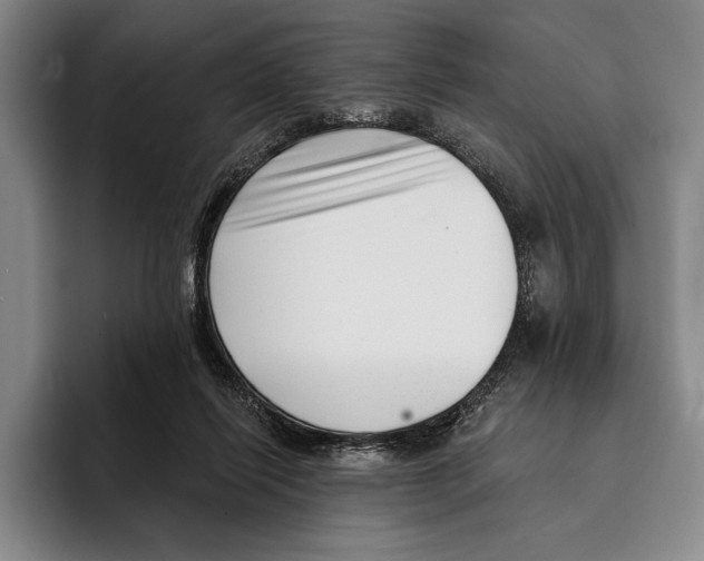 X0000096130262200802151320