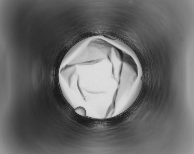 X0000096130263200802151320