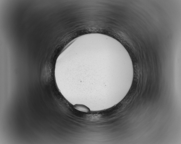 X0000096130266200802151320