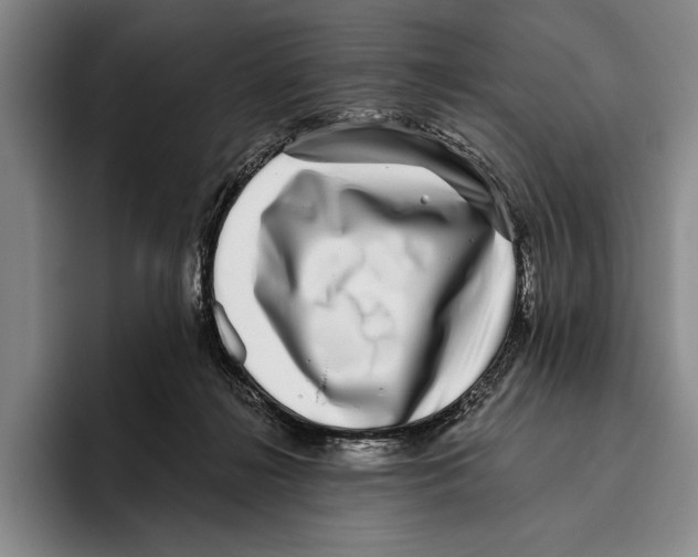X0000096130268200802151320