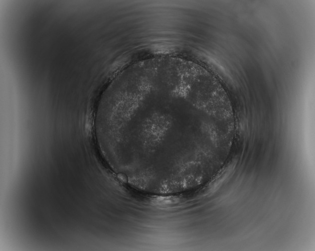 X0000096130277200802151320