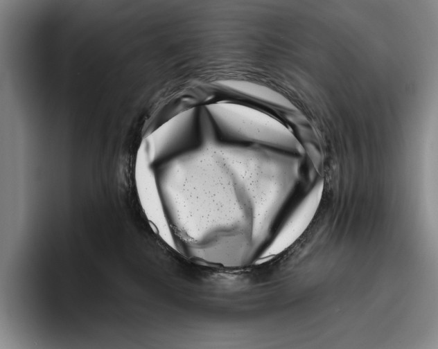 X0000096130280200802151320