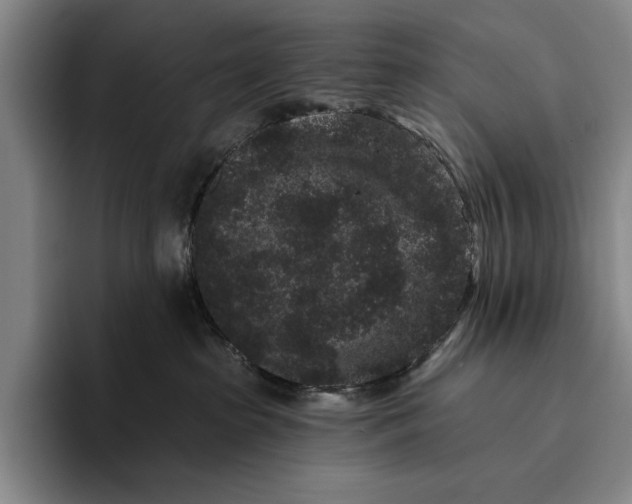 X0000096130285200802151320