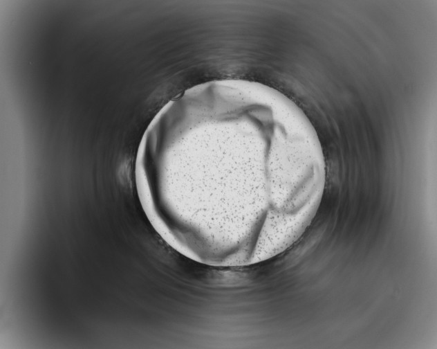 X0000096130286200802151320