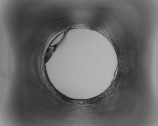 X0000096130289200802151319