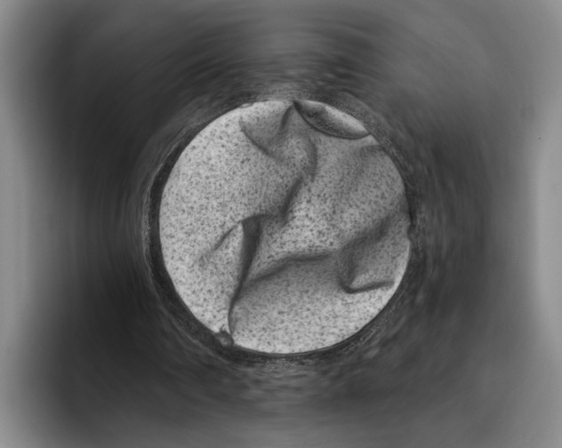 X0000096130290200802151319