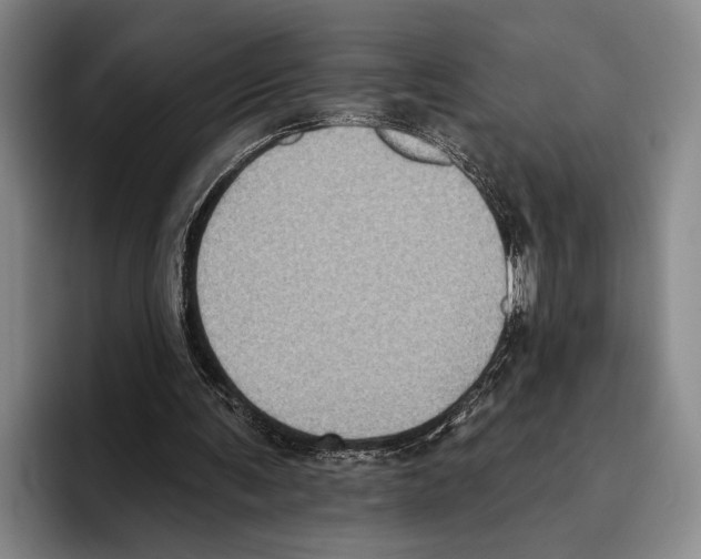 X0000096130291200802151319