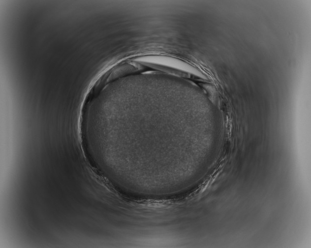 X0000096130292200802151319