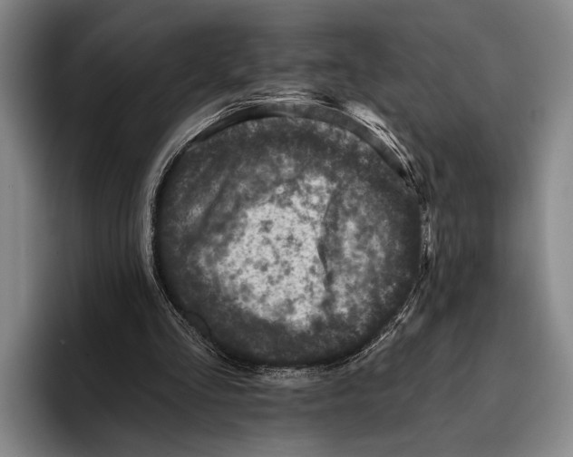 X0000096130293200802151319