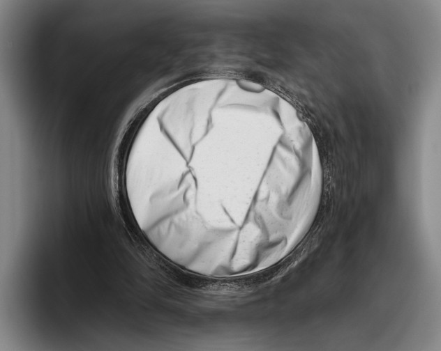 X0000096130294200802151319