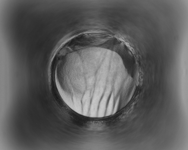 X0000096130296200802151319