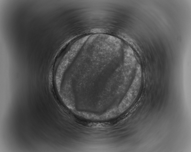 X0000096130297200802151319