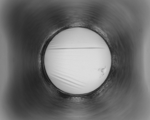 X0000096130298200802151319