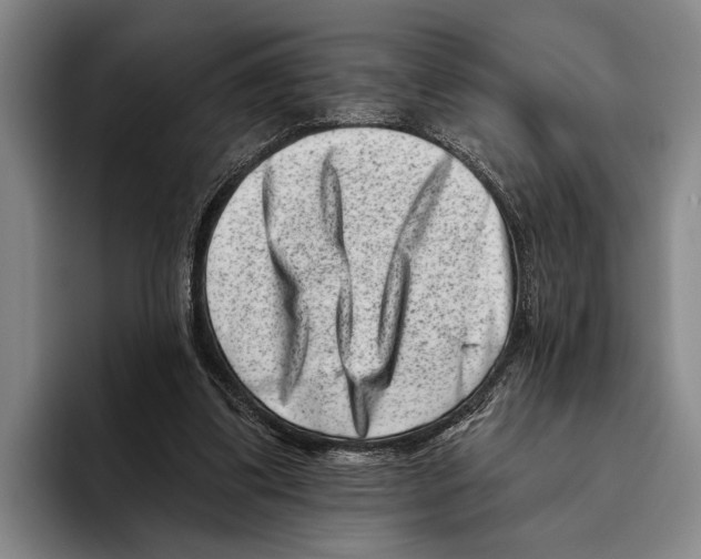 X0000096130299200802151319