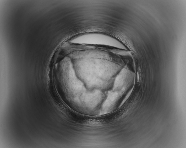 X0000096130300200802151319