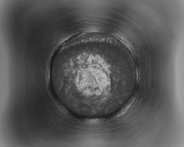 X0000096130301200802151319