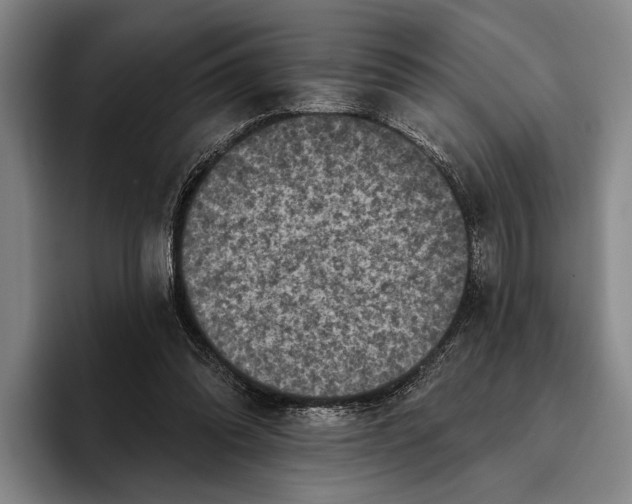 X0000096130302200802151319