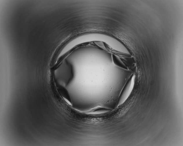 X0000096130304200802151319